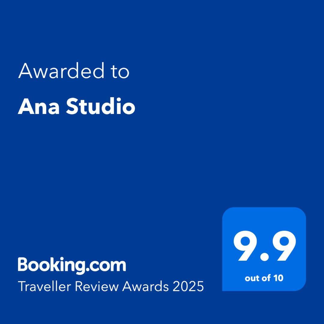 Ana Studio Hunedoara Exteriér fotografie